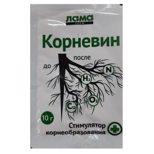 ���� ��������� �������� ��������, 10 �, 1 ��., ������ �� 48 ���