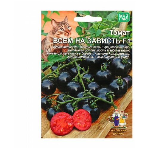 ���� ������ ��������� ������ ����� ���� �� ������� F1, 20 ��., ������ �� 140 ���