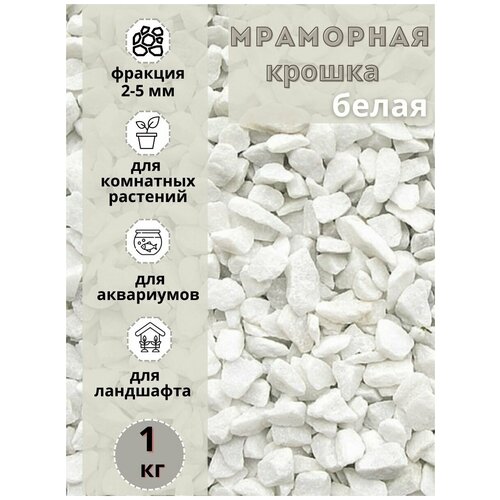 ���� ��������� ������ ����� ������� 2-5�� (1 ��) ����� ����������� ��� ��������� � ������� ��������, ������ �� 445 ���