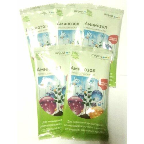 ���� ��������� ����� Avgust �������� ����������� �������� �������� �� 5�� 25��, ������ �� 590 ���