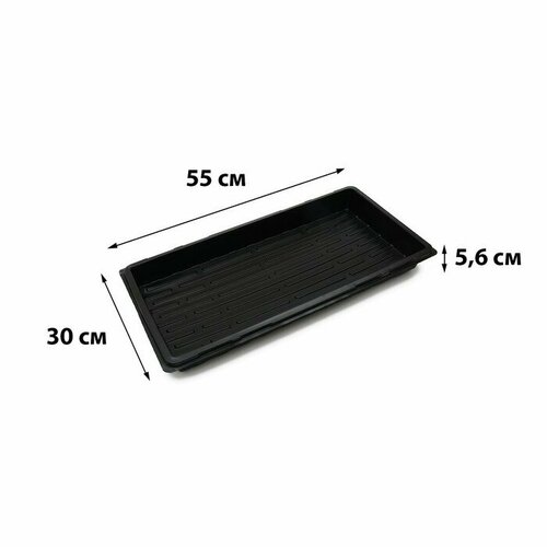    , 55 ? 30 ? 5,6 , , , Greengo,   213 