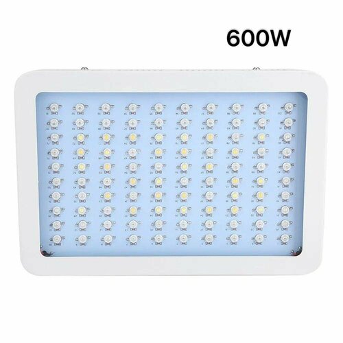     LED LIGHTS 600W   -     , -, 