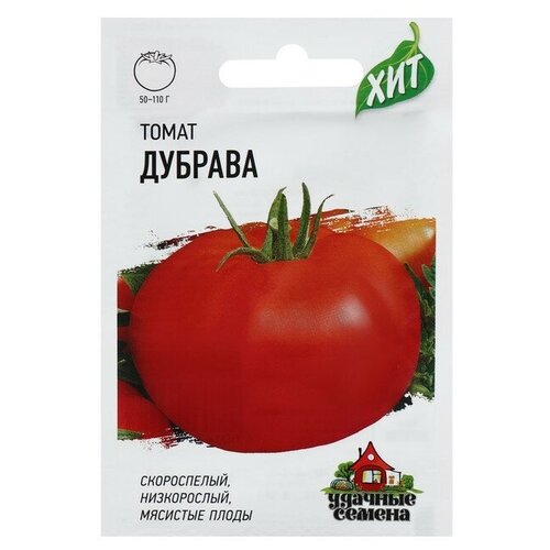 ���� ������ ����� 