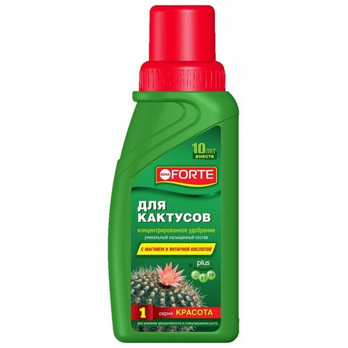 ���� ��������� ��� �������� � ����������� BONA FORTE ����� ������� 285 ��, ������ �� 249 ���