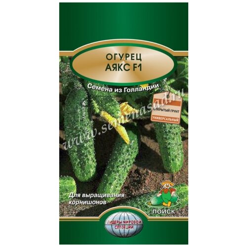 ���� ������ ���� F1 10�� �� ���� (�����) - 10 ��, ������ �� 319 ���