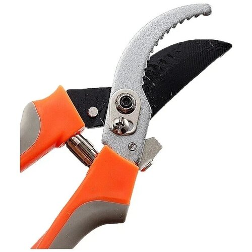 ���� ������� ������� ������������������� ����������� 23 ��., ������ �� 339 ���