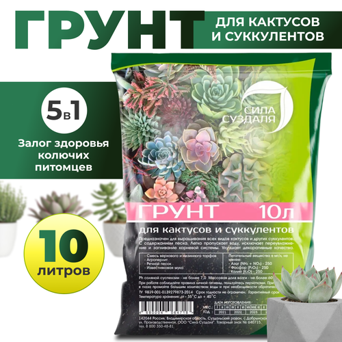 ���� ����� (�����) ���� ������� ��� �������� � �����������/ ������� �������� ��������, 10�, ������ �� 848 ���