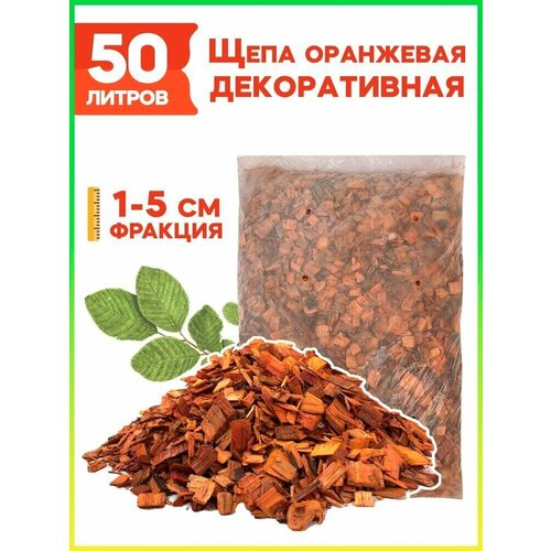 ���� ���� ������������ �������. ����������, 50 �, ������ �� 806 ���