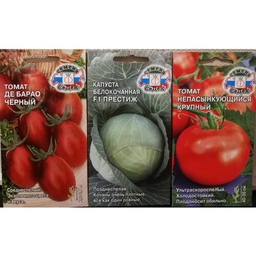 ���� ����� ����� �����, ������� ������� F1-3 ������, ������ �� 48 ���