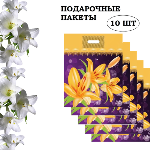 ���� ���������� �����, 10 ��, 37*48*6, �����, 50 ���, ������ �� 292 ���