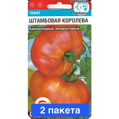 ���� ������ ������ ��������� ��� 