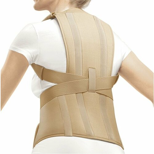 ���� ��������� ������ Orlett TLSO-250(A) 2G, ������ L1, �������, ������ �� 7546 ���