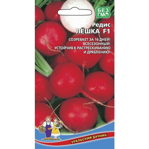 ���� ������ ����� ����� F1 1� ������ (��������� ������), ������ �� 46 ���