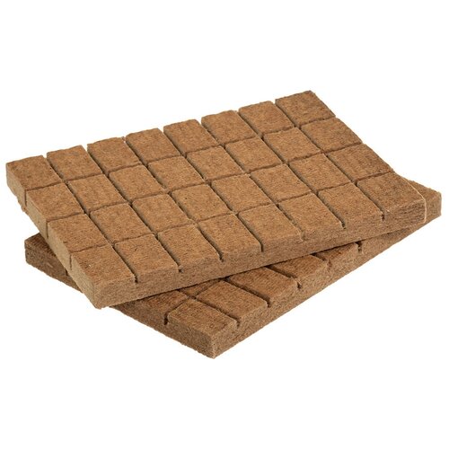     Boyscout   (2 ),   419 