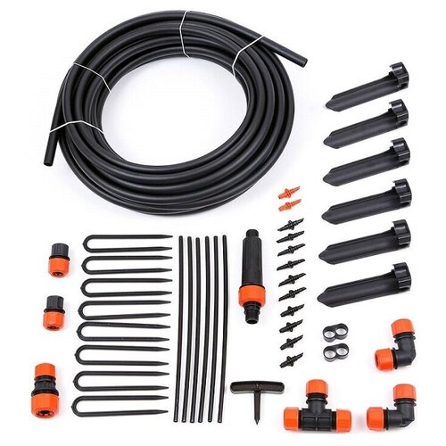 ���� ��� ����� ���������� ������ �� �����������, 11 �, 20 ��., ������ �� 1655 ���