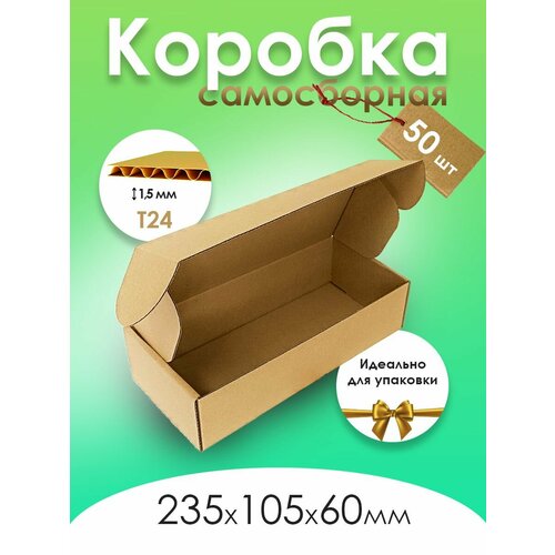 ���� ���������� ������� ���������, ������ �� 1589 ���