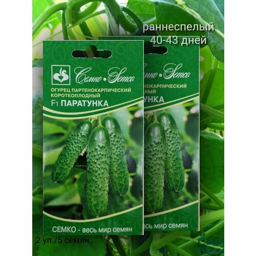 ���� ������ ��������� F1 5�� / 2����, ������ �� 400 ���