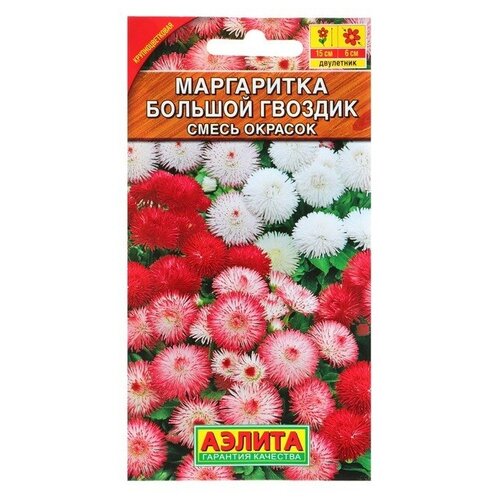 ���� ������ ������ 