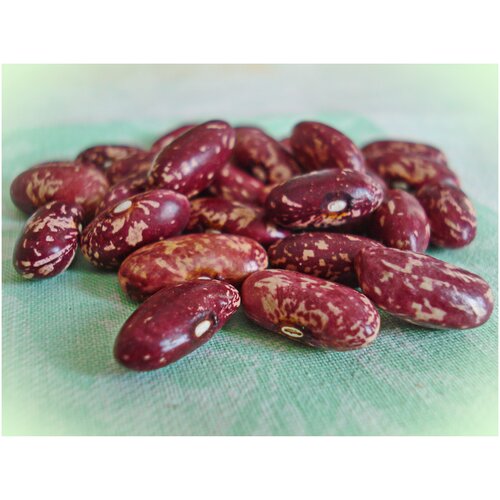 ���� ������ ����� ����������� ������� ���������, ������� �������, ���������� ����, ����������� ����� ������, ��������� ������������, 250 �� �����, ������ �� 641 ���