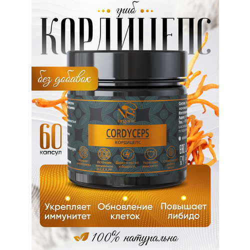 ���� ��������� � �������� �� 500 ��, ��������� 60 ��., ������ �� 650 ���