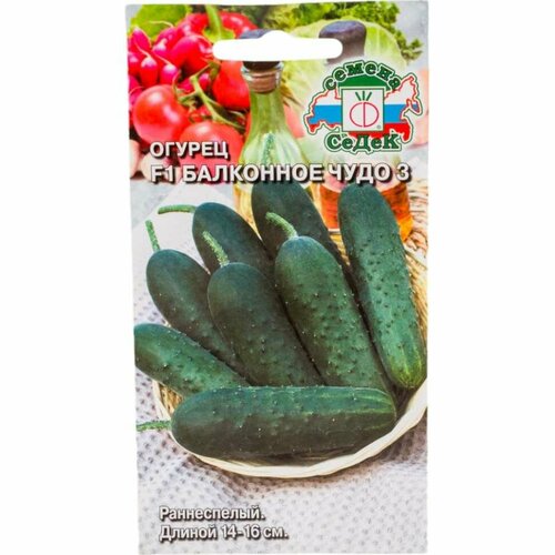 ���� ������ ����� ��������� ���� 3 F1. ����, 0.2 I0000016210, ������ �� 65 ���