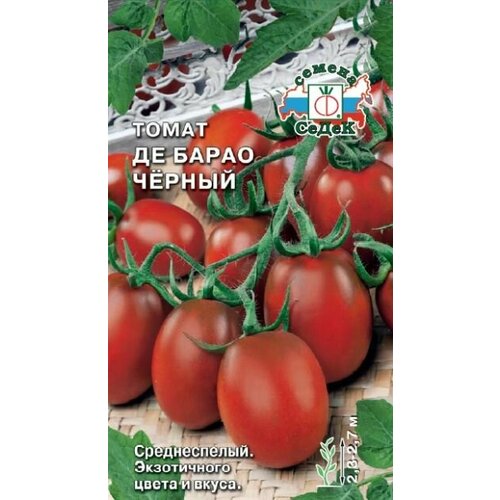 ���� ����� �� ����� ������ (3 ��������), ������, ������ �� 319 ���