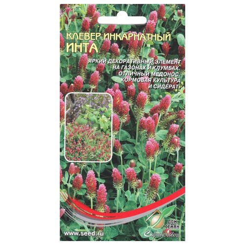 ���� ������ ����������� ����, 10�� �����, ������ �� 251 ���