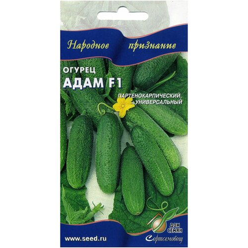 ���� ������ ���� F1, 6 �����, ������ �� 154 ���