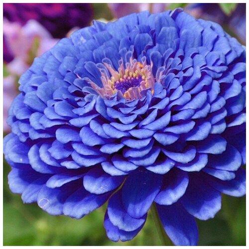 ���� ������ ������ ����� ��������� �������� ����� 30 ��., ������ �� 250 ���