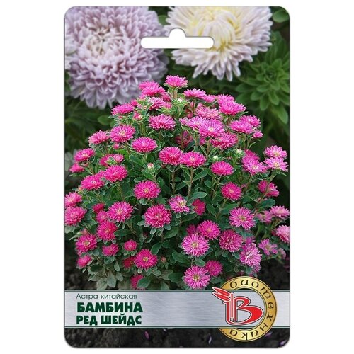 ���� ������ ����� ��������� 