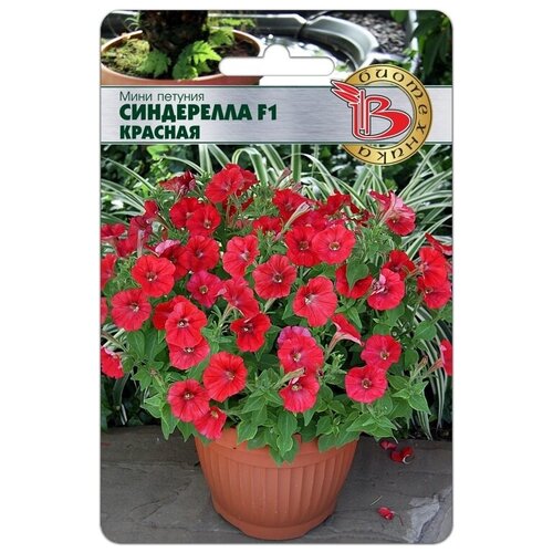 ���� ���� ������� ���������� F1 �������, ������ �� 388 ���