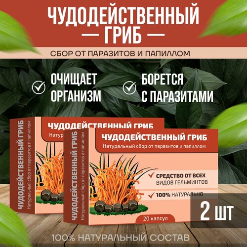 ���� ��������������� ���� ���� �� ��������� � �������� 2 ��������, ������ �� 900 ���