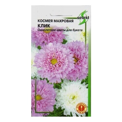 ���� ������ ����, �������� �����, 18 �����, ������ �� 264 ���