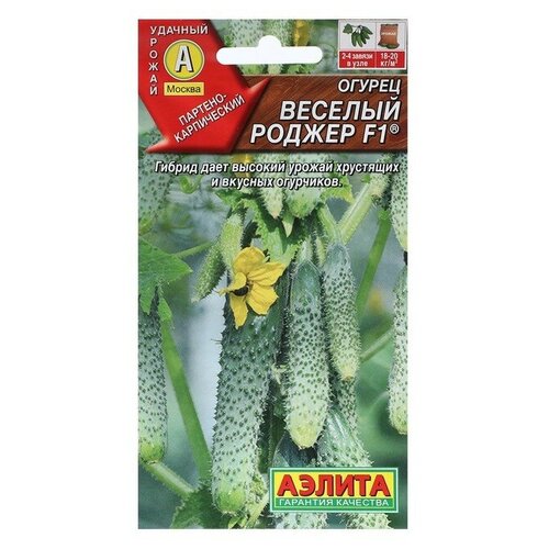 ���� ������ ������ 