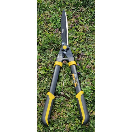   650 WURZ 6107,   2079 