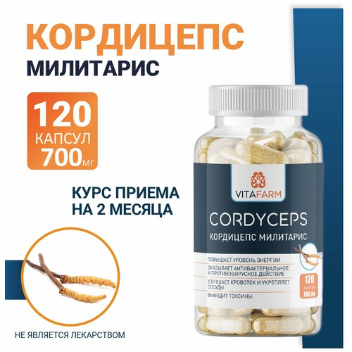    (Cordyceps militaris)  120 / 700    -     , -, 