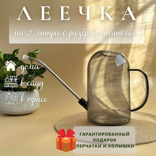 ���� ����� ��� ������ 2 �����, ������ �� 1150 ���