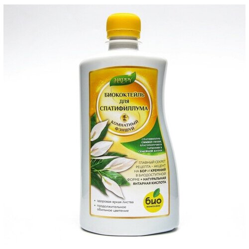 ���� ��������� ������ 