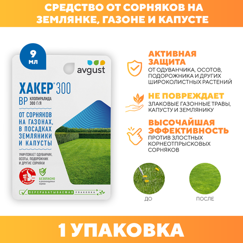 ���� �������� �������� �� �������� �����-300, Avgust 9 �� 1 ��, ������ �� 266 ���