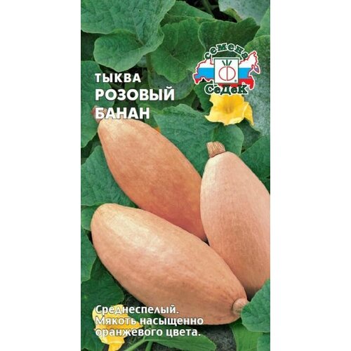 ���� ����� ������� �����, 1 �����, ������ 1�, �����, ������ �� 48 ���