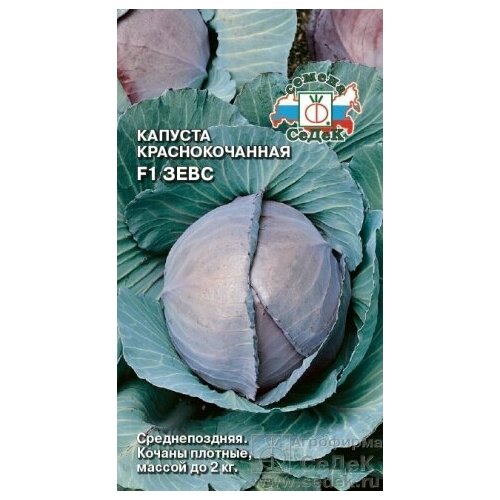 ���� ������� ������� �/� 