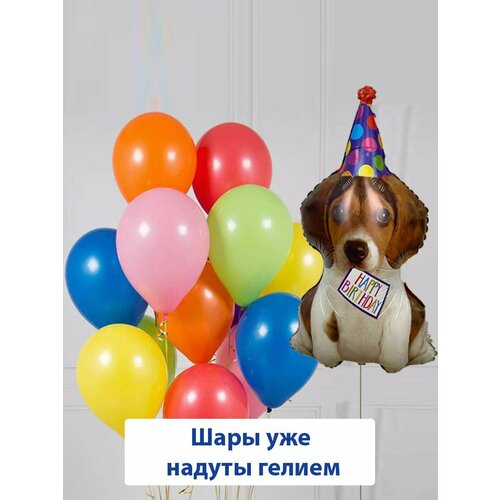 ���� ������ ��������� ����� � ������, ��������� ���� �� ���� �������� ������� � ��������, ������ �� 2516 ���