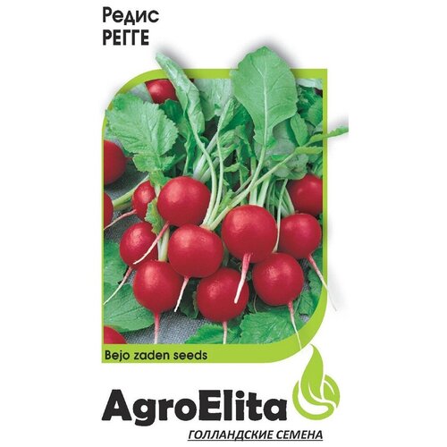 ���� ������ ����� ����� 1,0 � ���� (���������) ���������, ������ �� 48 ���