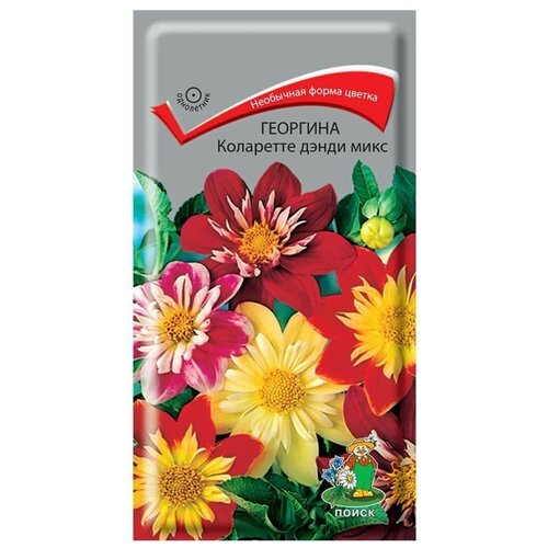 ���� ������ �������� ����� ��������� ����� ����, ������ �� 49 ���