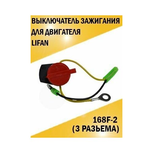 ���� ����������� ��������� ��������� ������������, �������������, ���������� (3 �������) � ������, ������ �� 275 ���