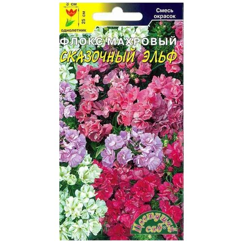 ���� ������ �������� ��� 