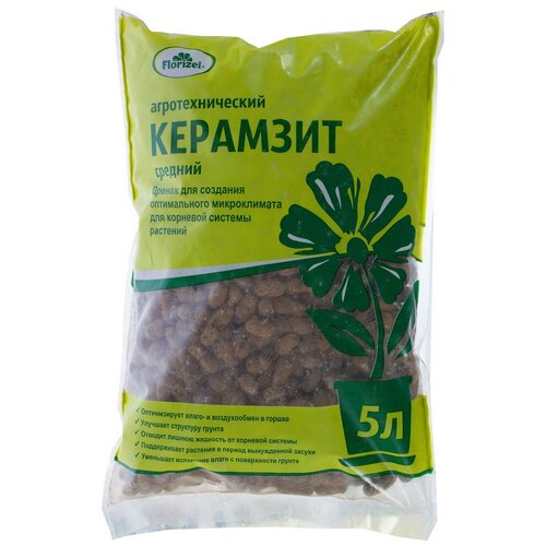 ���� �������� Florizel 5 �, ������ �� 375 ���