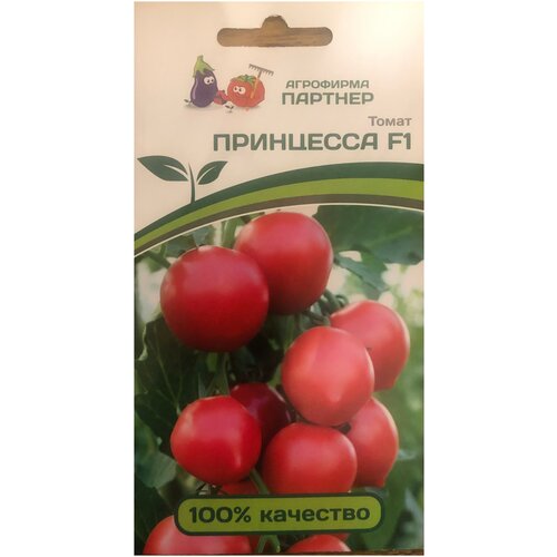 ���� ������ ������ 