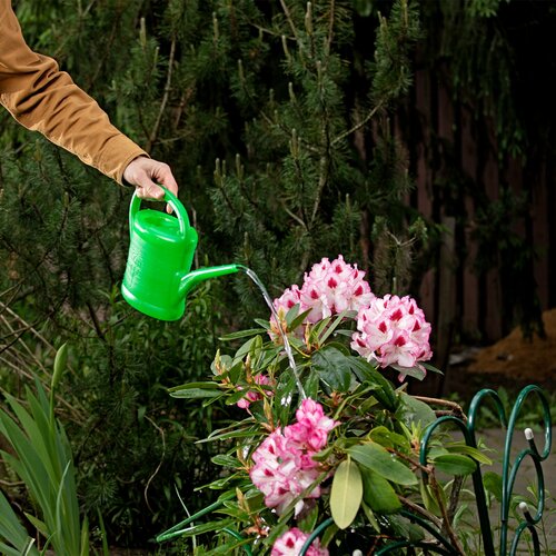 ���� ����� ������� 2 �, ������������� 67505, ������ �� 344 ���