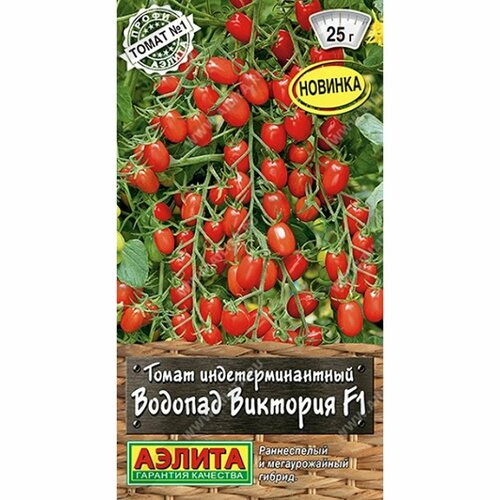 ���� ������ ����� ������� �������� F1 (������) 10�� �����-������, ������ �� 55 ���